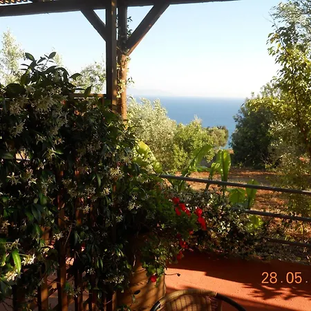 Delfinia Apartment *