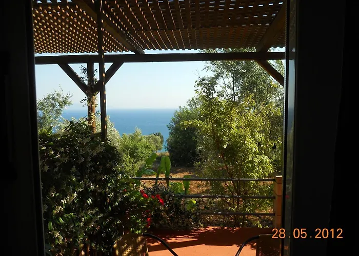Delfinia