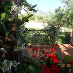 Delfinia * Βλαχάτα