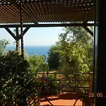 Delfinia