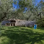Delfinia Βλαχάτα